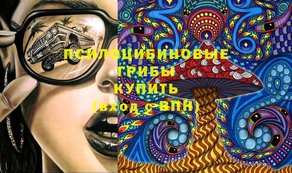 ешки Алексин