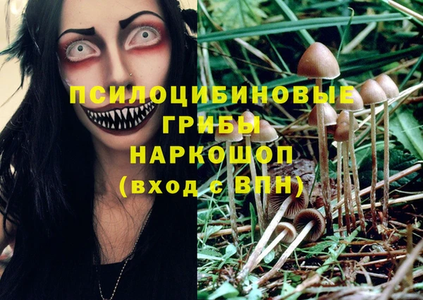 тгк Алзамай