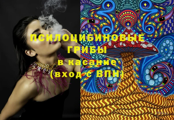 ешки Алексин