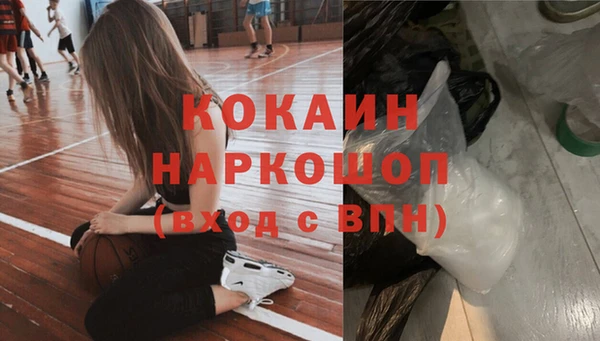 ешки Алексин