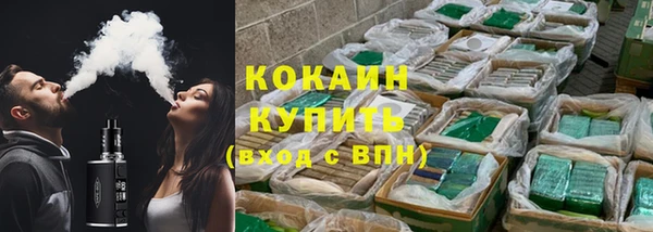 тгк Алзамай