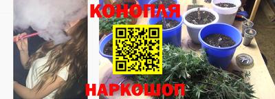 прущие грибы Нальчик